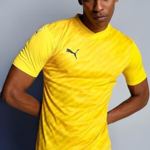 Puma Men T-Shirts